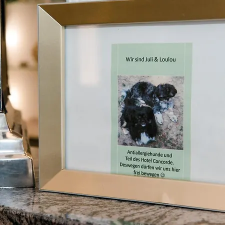 Concorde Business Boutique Bad Soden am Taunus