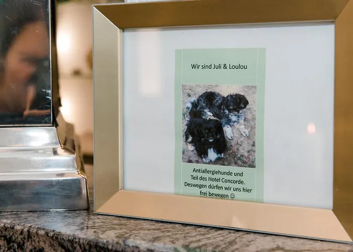 Concorde Business Boutique Bad Soden am Taunus